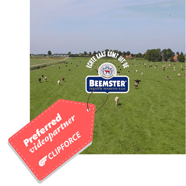banner beemster